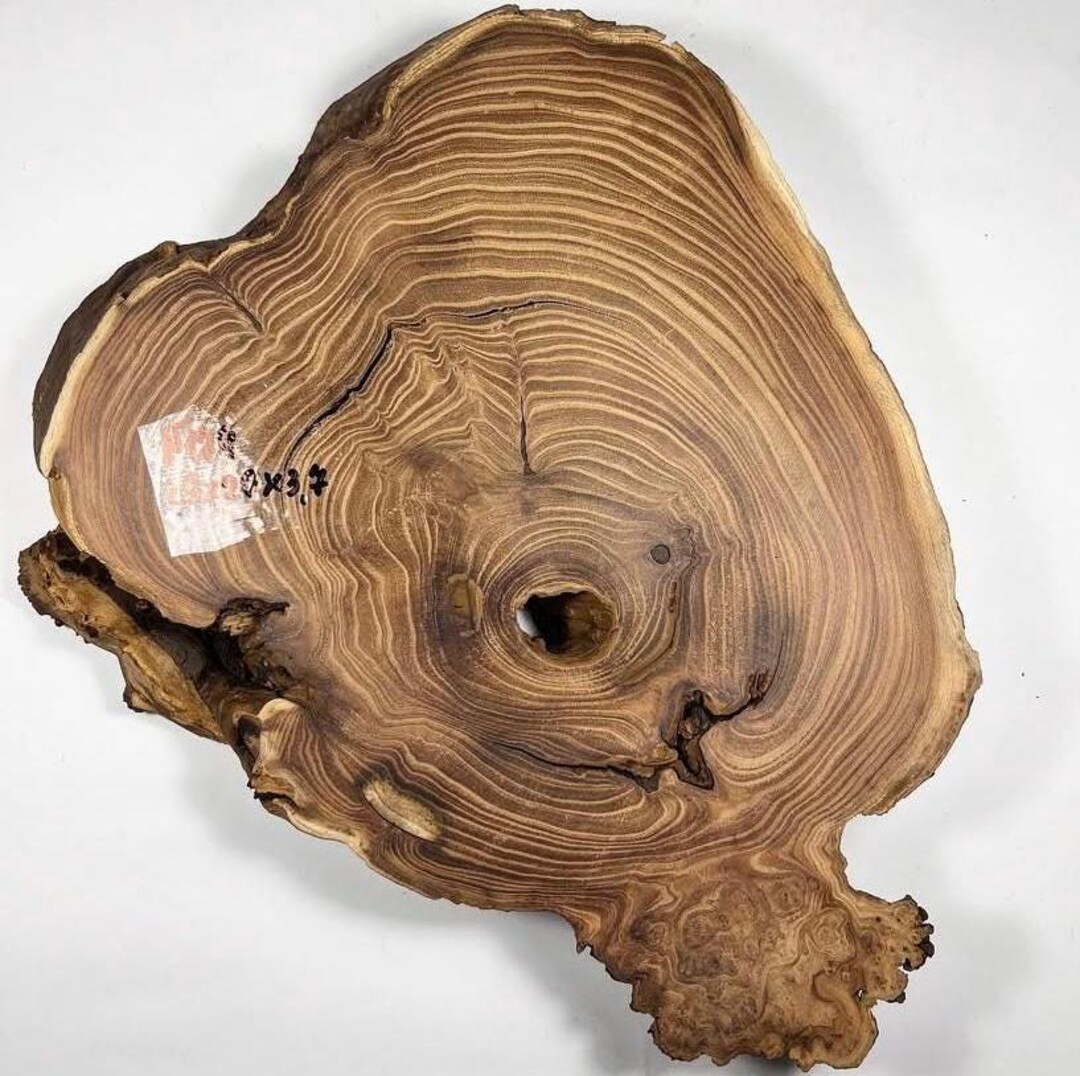Olive Burl. Woodworking Burl. Epoxy Craft. Live Edge Wood. Burl Wood ...