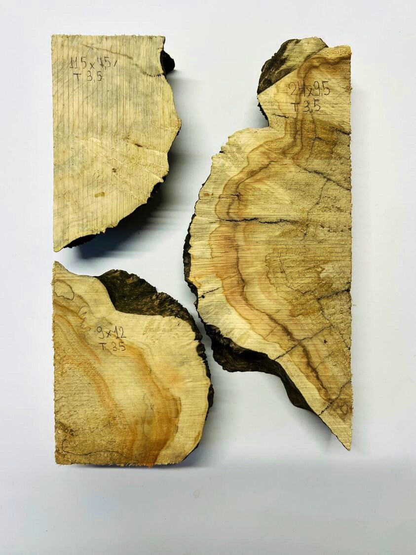 Set of Burl Wood. Burl Wood. Live Edge Wood. Dried Burl Slabs. Etsy