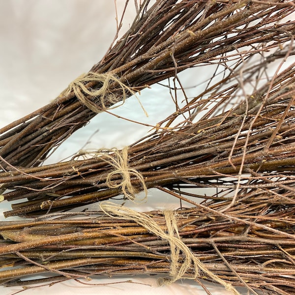 Extra Long Birch Twigs Etsy