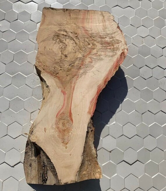 live edge burl round