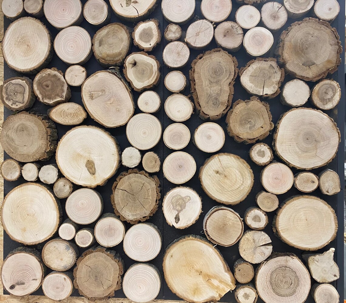 Natural wood wall art. Wood wall hanging. Reclaimed wood Etsy