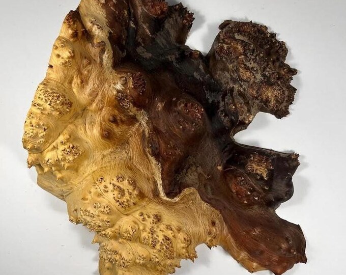 Olive Burl. Woodworking Burl. Epoxy Craft. Live Edge Wood. Burl Wood ...