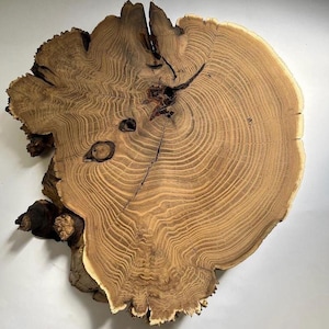 May include: A large, round wooden slice with a natural wood grain pattern. The slice has a central knot and a ring pattern that shows the age of the tree. The wood is a light brown colour with darker brown streaks.
