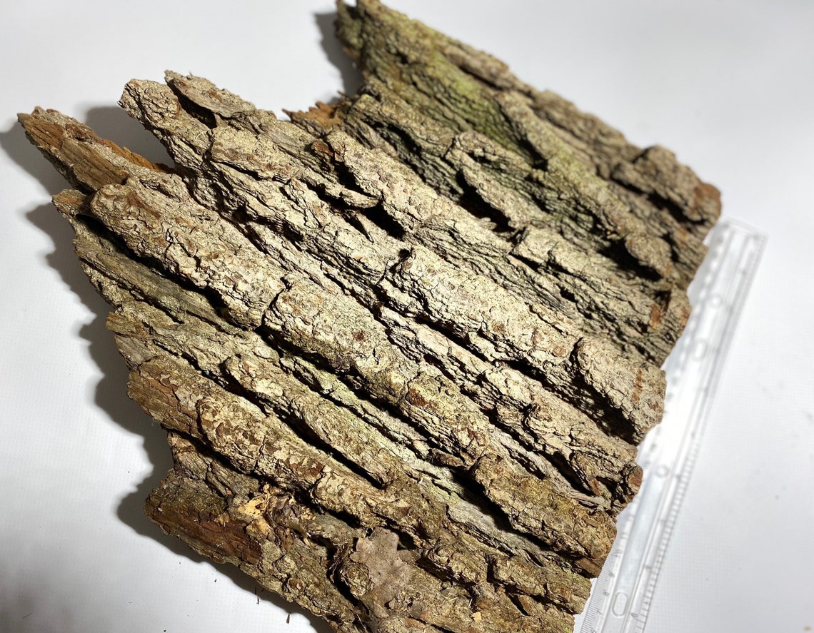 Real tree bark. Large bark piece. Organic bark. Bark incense. Etsy