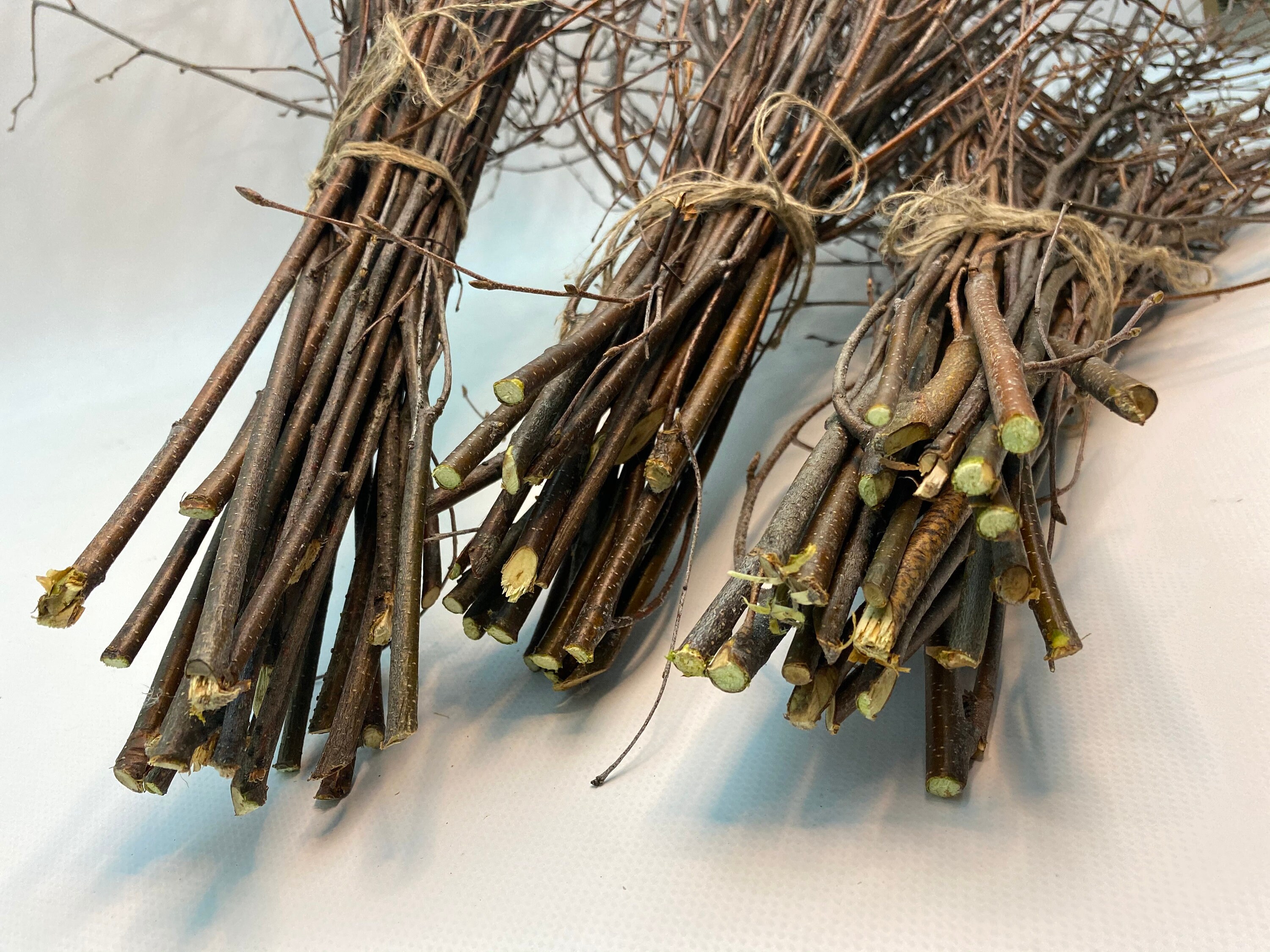 Birch branches 21 pcs. Extra long birch twigs. Woodland Etsy