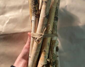 Birch Bundle Of Logs Etsy