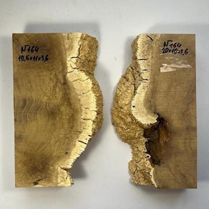 Set of burl wood. Burl wood. DIY crafts. Dried burl slabs. Woodworking. Epoxy. Resin casting. Stabilisation. Acacia burl. Wooden art