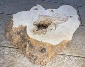 Maple Burl Wood Slab, Live Edge, DIY Woodworking (11.8x9x1.7")