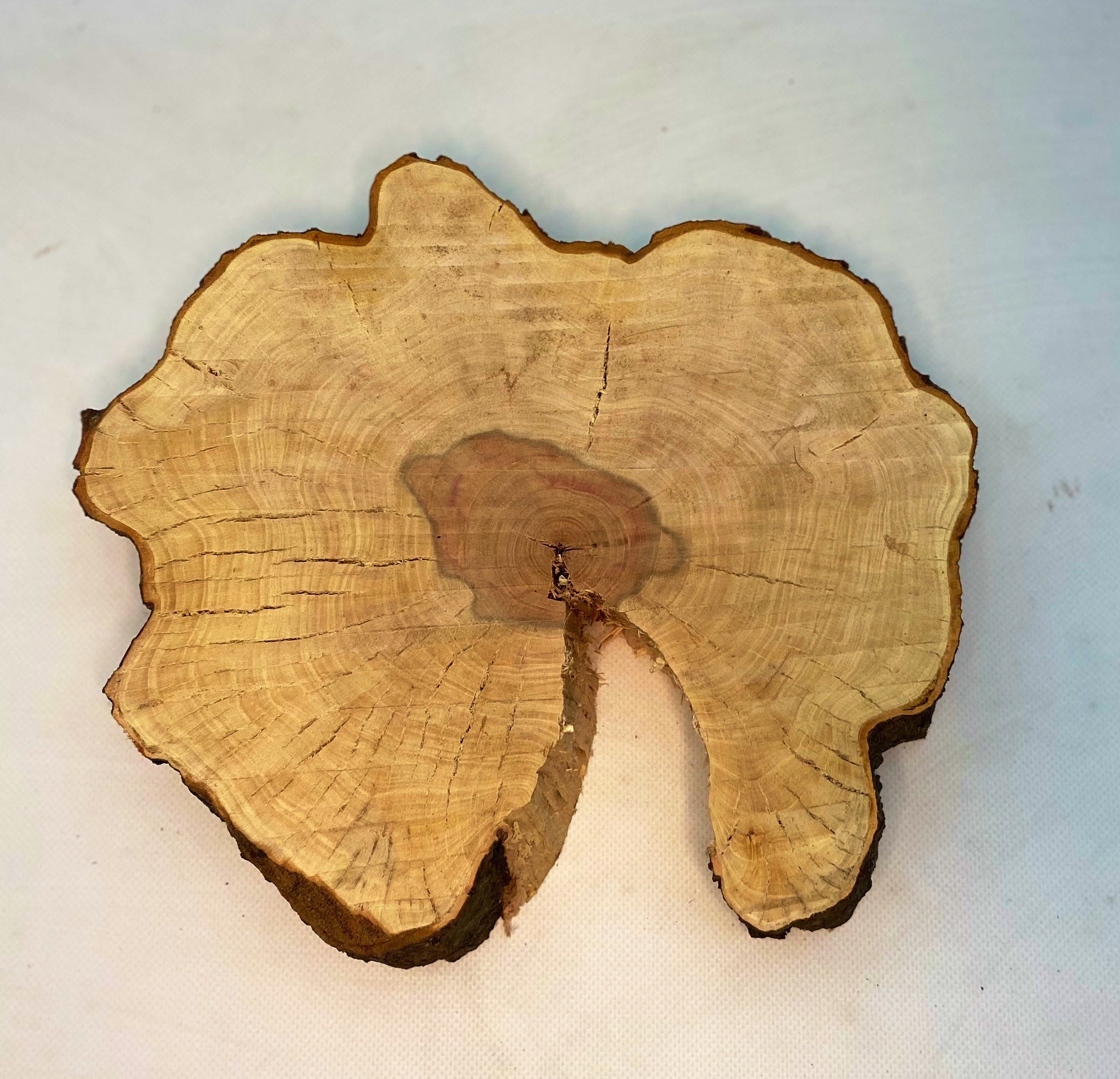 Cherry plum wood. Plum wood. Live edge slab. Wooden Slice. Etsy