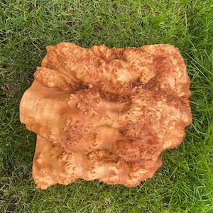 Burl. Burl cap. Alder wood. Wood turning. Live Edge Wood. Burl. Wood Slab. Wood piece. Epoxy. Resin. Burl piece. Stabilisation. Burl art