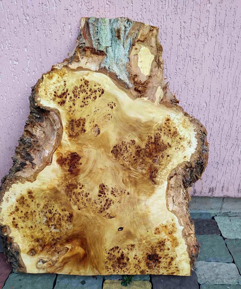 Maple Burl Wood. Big Leaf Maple Burl Slab. Live Edge Craft Etsy New