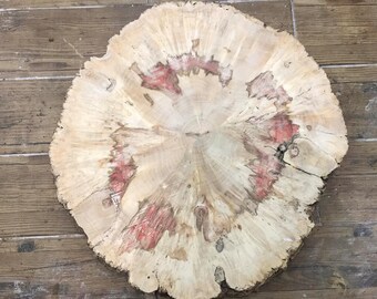 Maple burl slab. Live edge wood slab. Burl wood. Large slab. Round wood slab. Wooden burl. Wood round. Raw solid wood.