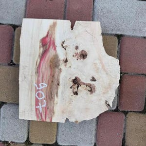 Maple burl. Burl cap. Wood turning. Live Edge Wood. Burl. Wood Slab. Wood piece. Epoxy. Resin. Burl piece. Stabilisation. Burl art