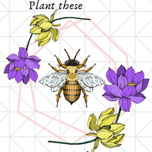 Save the Bees 2 Digital Download