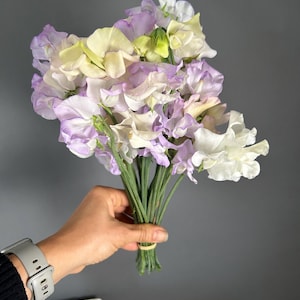 Organic Sweet Peas April in Paris - white with a lavender edge 20 seeds