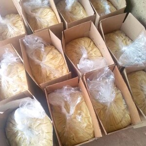 May include: A collection of cardboard boxes, each containing a portion of yellow food sealed in a clear plastic bag. The boxes are closely packed, indicating a bulk quantity. The food items have a soft, dough-like texture, suggesting a prepared food product.