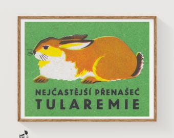 Może przedstawiać: Prostokątny wydruk przedstawiający stylizowaną ilustrację brązowo-białego królika na jednolitym zielonym tle. Tekst NEJČASTĚJŠÍ PŘENAŠEČ TULAREMIE jest nadrukowany czarnymi wielkimi literami u dołu oprawionej grafiki.