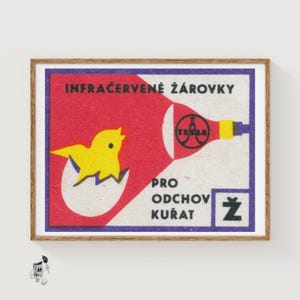 Hatching Chicks Matchbox Art Print, Czech Vintage Modernist (Industrial Decor)