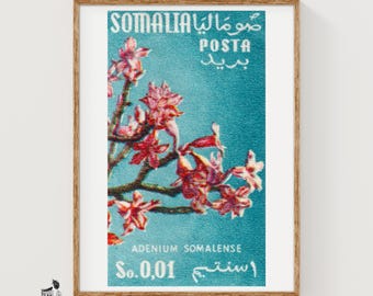 Konsttryck med Adeniumblomma, tändsticksask, somalisk vintagemodernist (blomsterdekor)