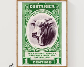 Horned Cow Matchbox Art Print, Costa Rican Vintage Folk Art (Maximalist Decor)
