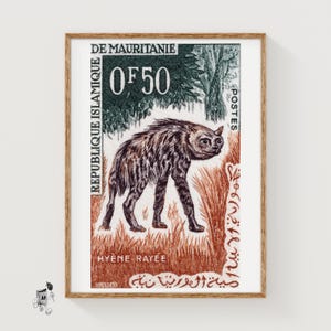 May include: A rectangular postage stamp print from Mauritania featuring a striped hyena in a grassy field. The text reads DE MAURITANIE, 0 OF 50, REPUBLIQUE ISLAMIQUE, POSTES, and HYENE RAYEE, with Arabic script along the right and bottom edges.