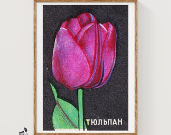 May include: A framed print featuring a vibrant magenta tulip with a green stem and leaf set against a dark, textured black background. The Cyrillic text "ТЮЛЬПАН" is printed in white in the bottom right corner of the artwork, which is encased in a light wood frame.