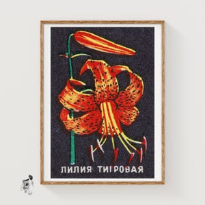 Tiger Lily - Matchbox Print - Aesthetic Wall Art - Vintage Eastern Europe Art - Matchbox Wall Poster - Vintage Poster Print