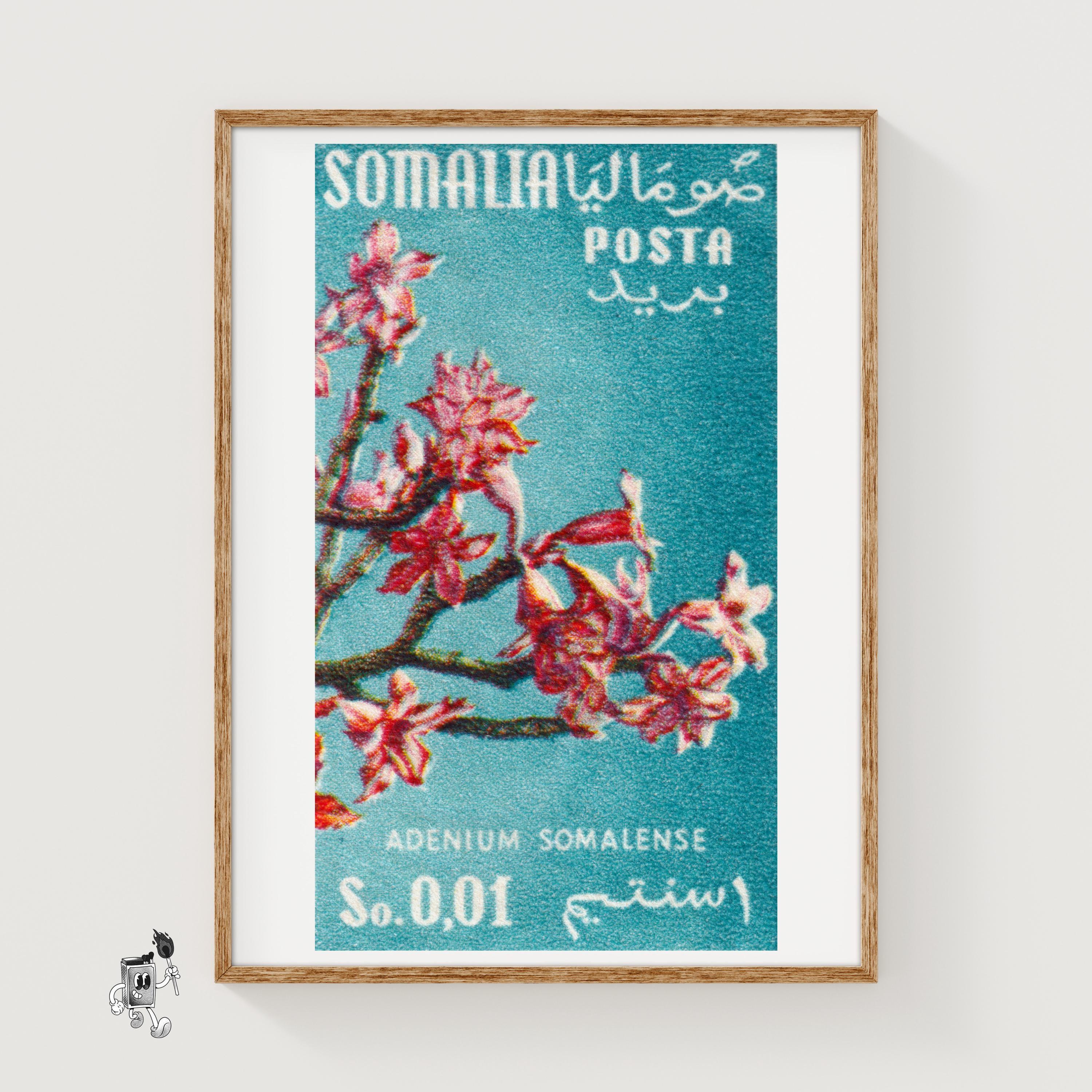 Somalia Briefmarken Kollektion – 50 Verschiedene Marken Für Sammler