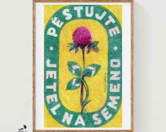 Może przedstawiać: Oprawiony wydruk botaniczny przedstawiający żywy, karmazynowy kwiat koniczyny wyśrodkowany na jasnym żółtym tle. Ciemnozielona owalna ramka otacza kwiat i zawiera biały napis PĚSTUJTE JETEL NA SEMENO wykonany pogrubioną czcionką bezszeryfową.