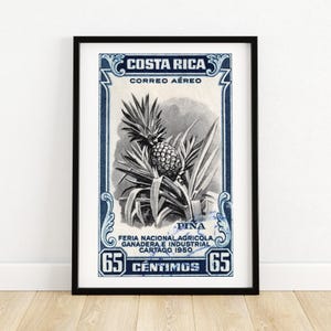 Planta de Piña - Costa Rica - Impresión de Sello Postal - Arte Mural Estético - Póster de Sello Postal - Impresión de Póster Vintage
