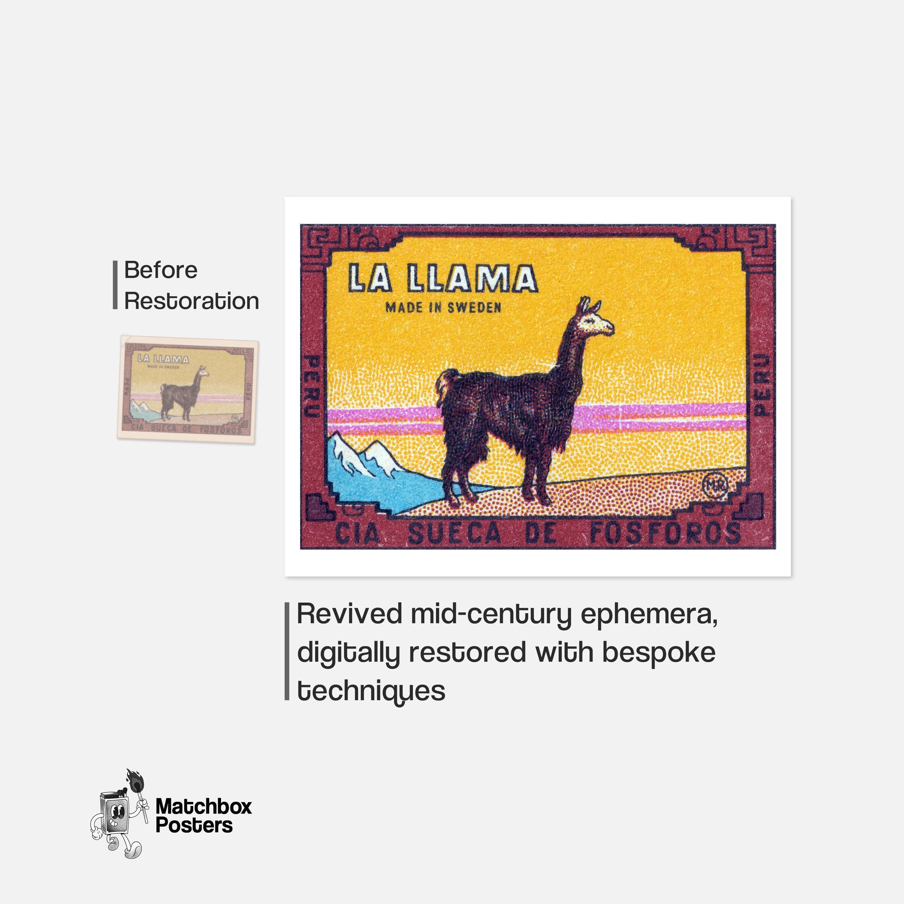 Llama Standing Peru 1920s-30s Matchbox Label - Vintage Art Print