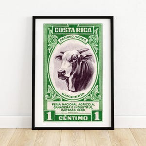 Gehörnte Kuh - Costa Rica - Briefmarke - Ästhetische Wandkunst - Briefmarke Wandposter - Vintage Poster Druck