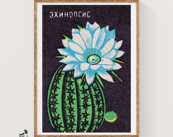White Cactus Flower - Matchbox Print - Aesthetic Wall Art - Vintage Eastern Europe Art - Matchbox Wall Poster - Vintage Poster Print