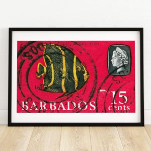 Gelb und Schwarz Fisch - Barbados - Briefmarke Druck - Ästhetische Wandkunst - Briefmarke Wand Poster - Vintage Poster Druck