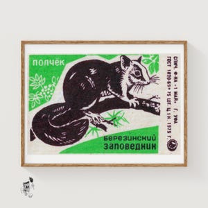 Op de afbeelding: Een ingelijste vintage luciferdoosillustratie. Het toont een zwart-wit eekhoorn op een tak, tegen een groene achtergrond. Russische tekst is zichtbaar. Het frame is van hout.
