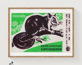 May include: A rectangular matchbox label featuring a dark brown illustration of a squirrel perched on a branch against a green background. The text includes the Russian words полчёк and березинский заповедник, along with technical production details.