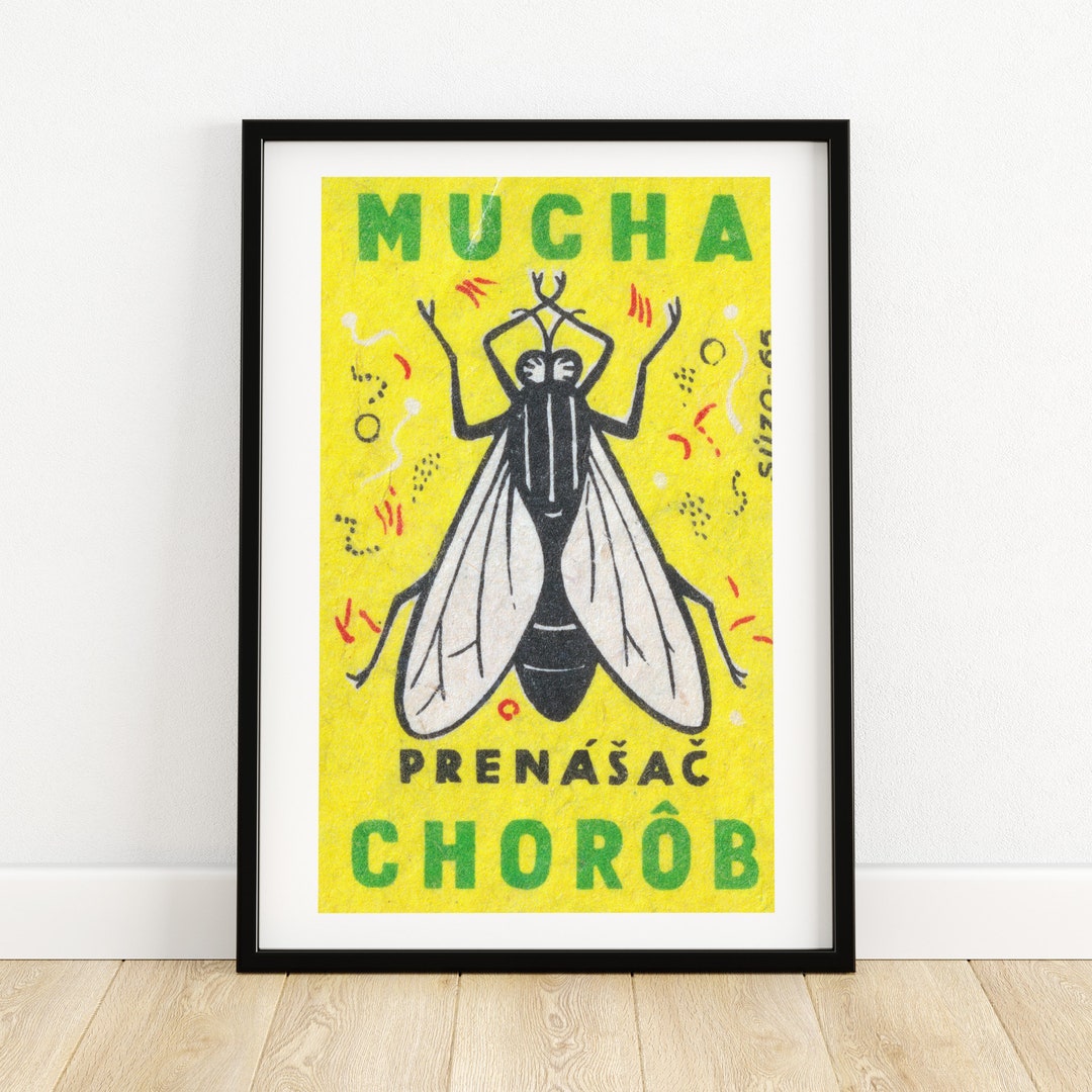 Flies Carry Disease Matchbox Print Aesthetic Wall Art Vintage Art