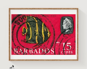 Konsttryck med ängelfisk, tändsticksask, barbadisk vintage från mitten av århundradet (nostalgisk dekor)