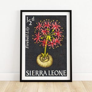 Rote Blumen - Vintage Sierra Leone Kunst - Briefmarke Druck - Ästhetische Wandkunst - Briefmarke Wand Poster - Vintage Afrikanische Kunst