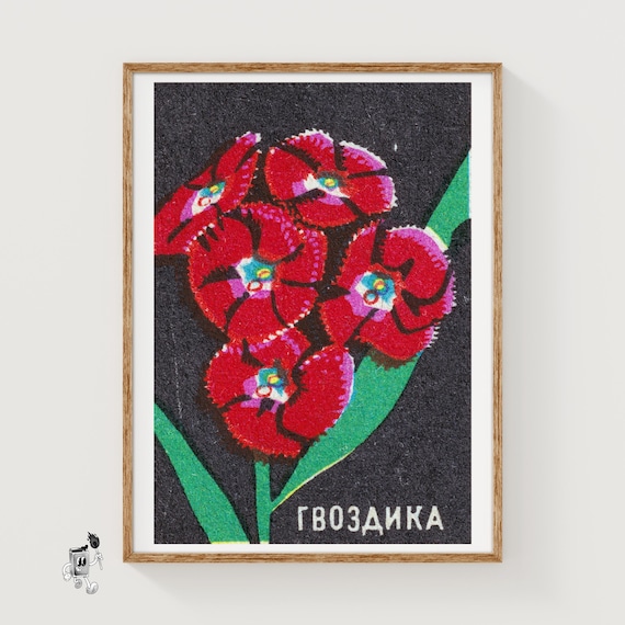 赤いカーネーション - マッチ箱プリント - 美しい壁アート