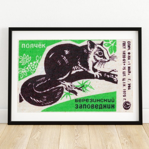 Squirrel - Matchbox Print - Aesthetic Wall Art - Vintage Eastern Europe Art - Matchbox Wall Poster - Vintage Poster Print