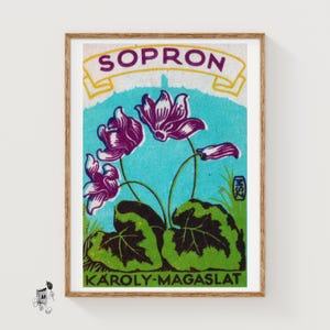 May include: A framed vintage print with a floral illustration. The artwork depicts purple flowers and green leaves set against a turquoise backdrop. The print includes the text "SOPRON" and "KÁROLY-MAGASLAT".