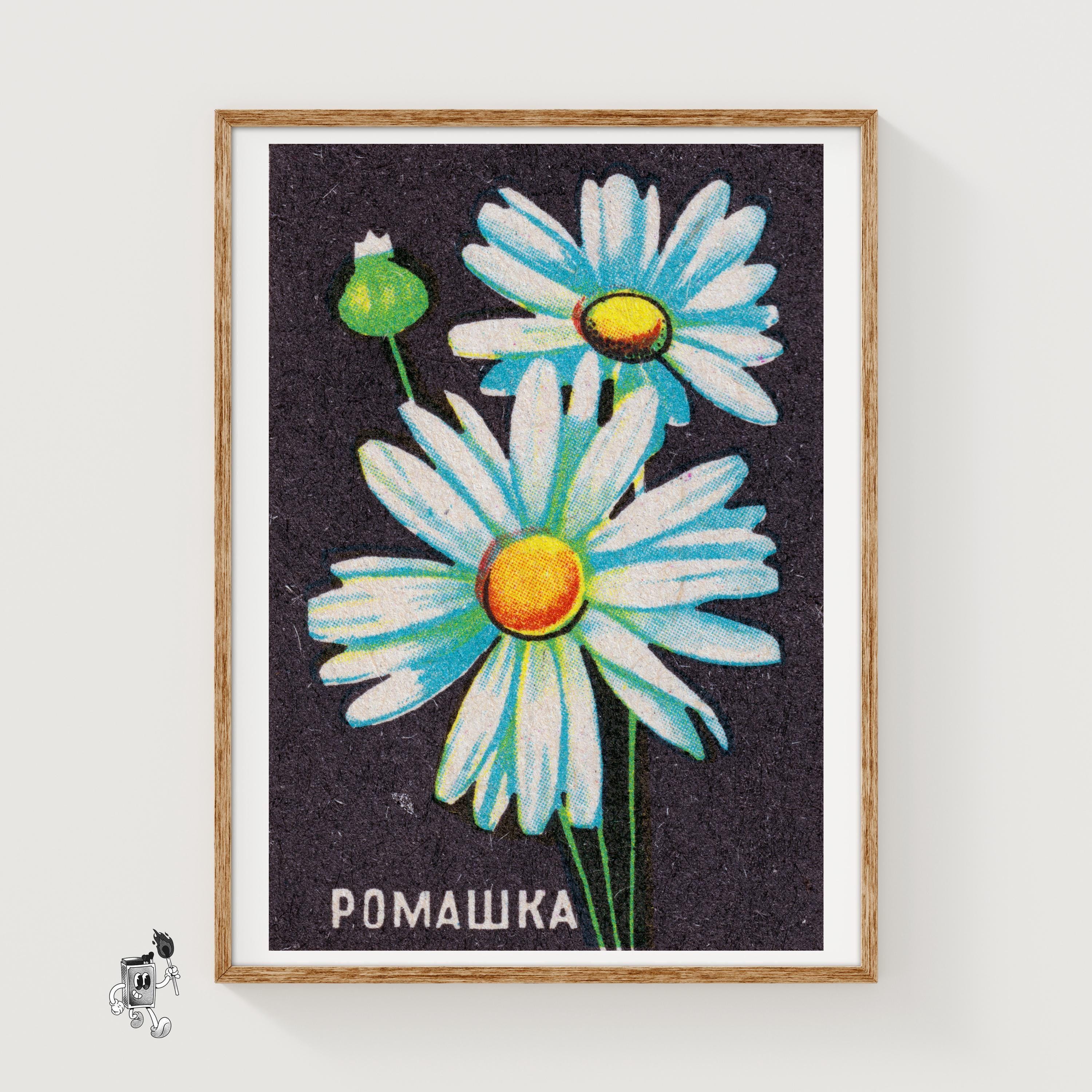 【超希少】Daisy Lights 版画 Greenwood1976 90/36 Daisy Flower Matchbox Art Print, Russian Vintage Folk Art (floral