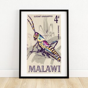 Saltamontes colorido - Arte vintage de Malawi - Impresión de sellos postales - Arte mural estético - Póster de sellos postales - Arte africano vintage