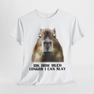 Idk How Much Longer I Can Slay Capybara Sarcastic Dank T Shirt Best Seller Funny Movie Gift Music Meme