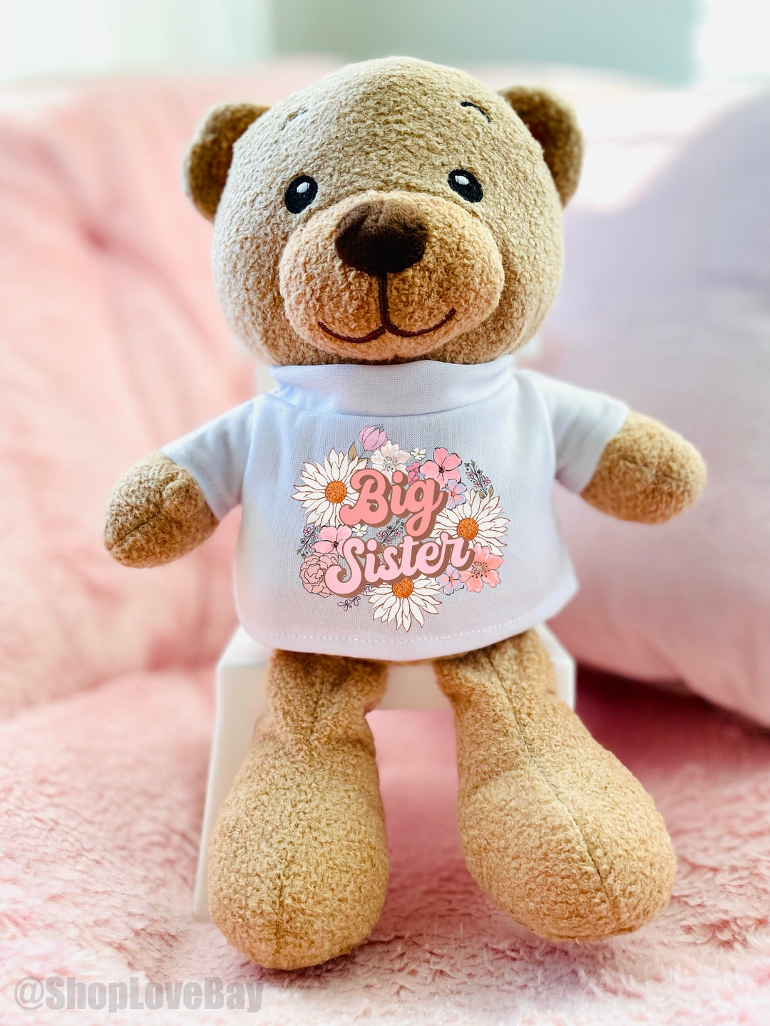Big Sibling Plush Bears main image 0