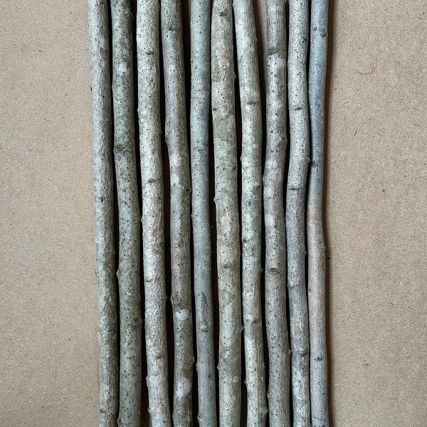 10-Piece 24" natural twigs branches sticks / aspen / straight 3/4-1" wide