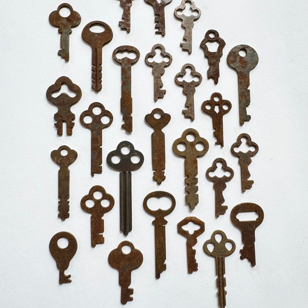 Vintage Flat Skeleton Keys Set #2 (25 Piece Set)