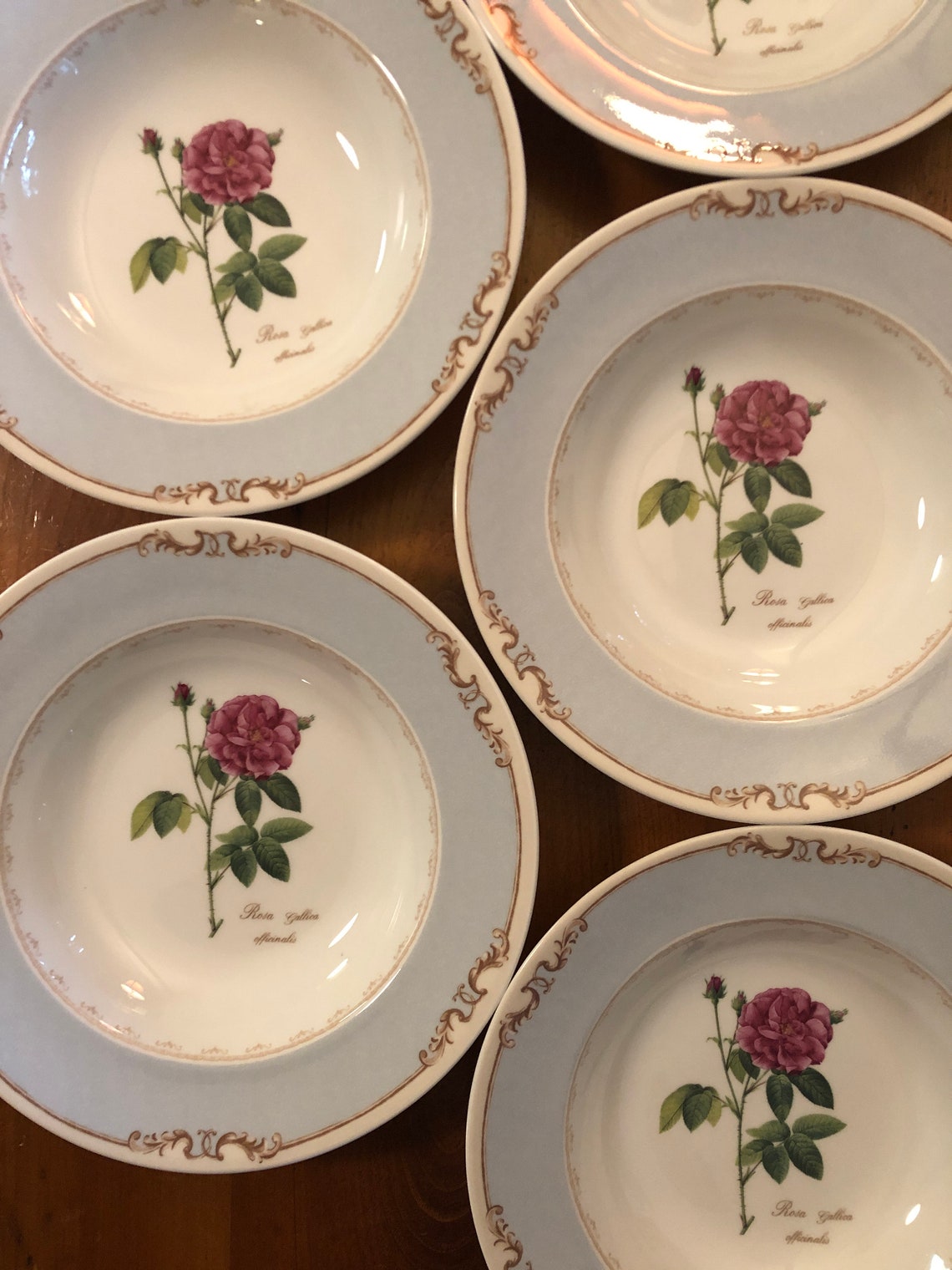 Queens Fine Bone China Set of 6 Coupe Bowls Entitled Etsy