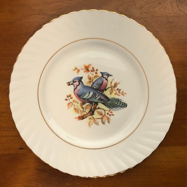 Vintage 1960's Rosina Bone China Company Birds of America Series 1 - Blue Jay Plate Made in England